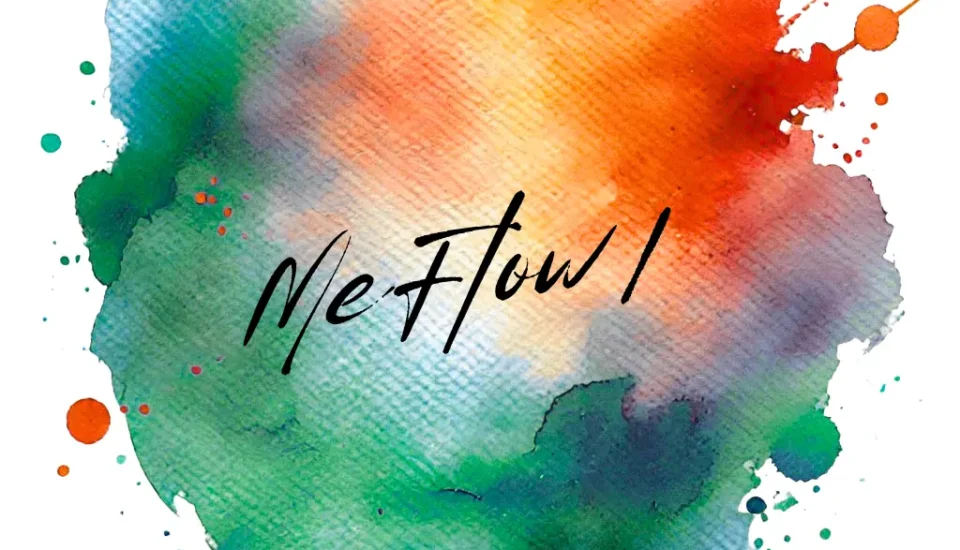 MeFlow I